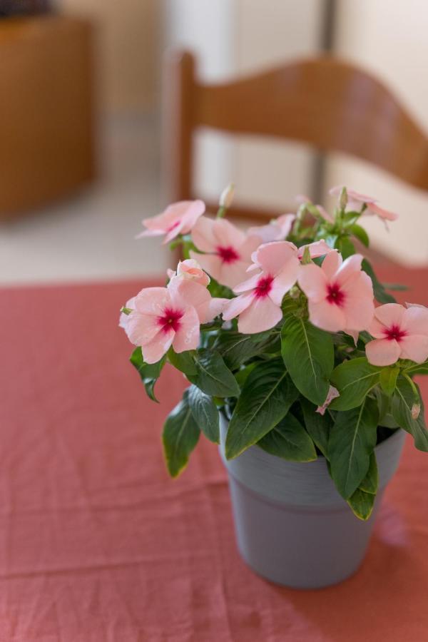 Ammousa Hotel Apartments Lixouri Ngoại thất bức ảnh