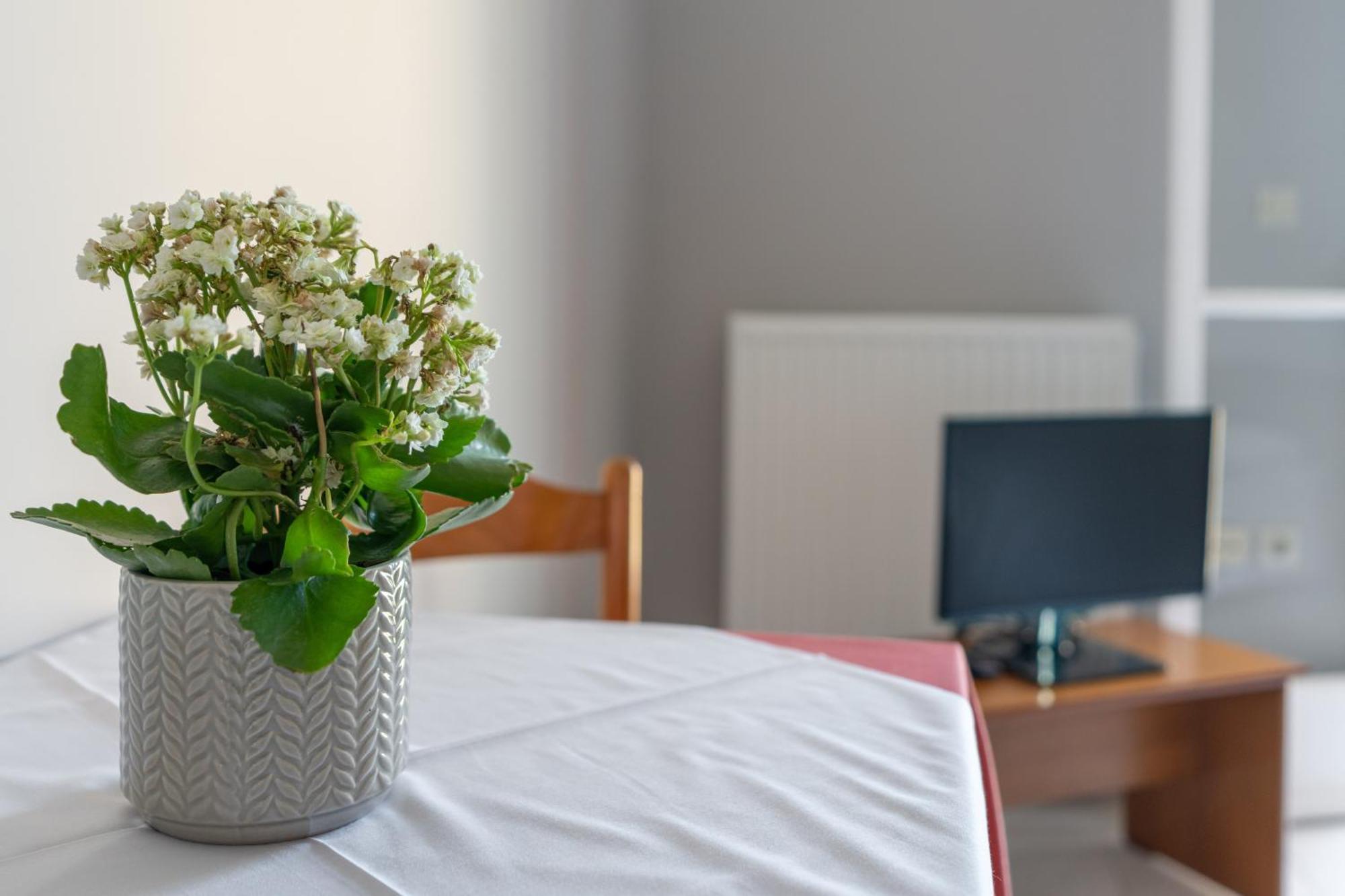 Ammousa Hotel Apartments Lixouri Ngoại thất bức ảnh