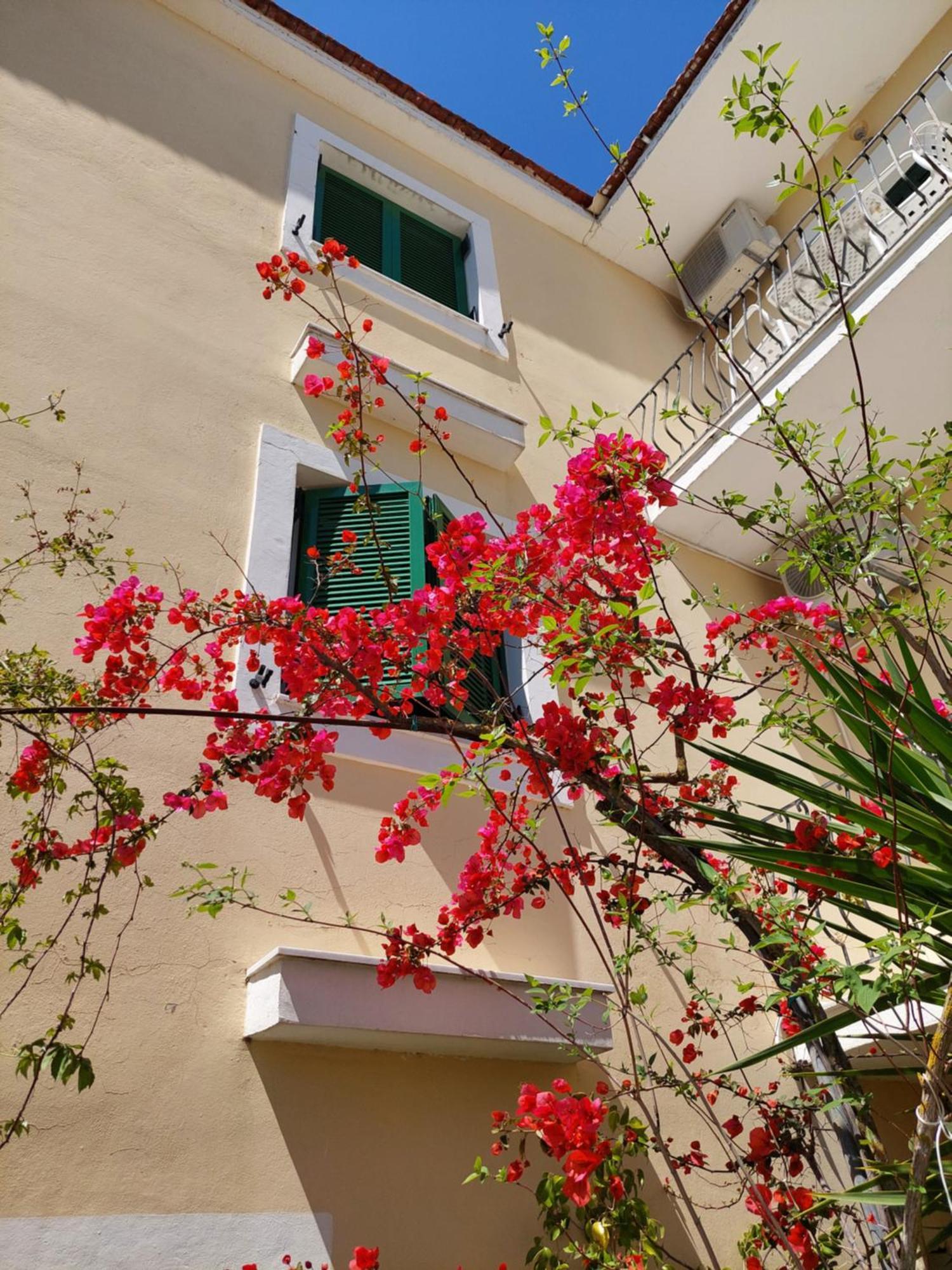 Ammousa Hotel Apartments Lixouri Ngoại thất bức ảnh